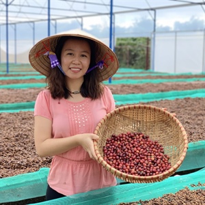Travel experience with specialty Tam Trinh Coffee on Lam Dong Plateau